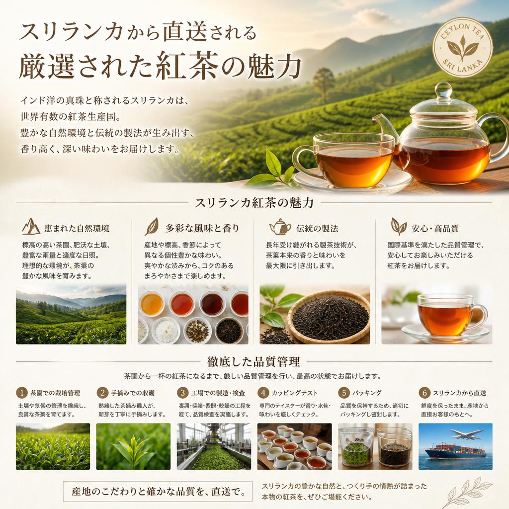 選び抜かれた高級紅茶