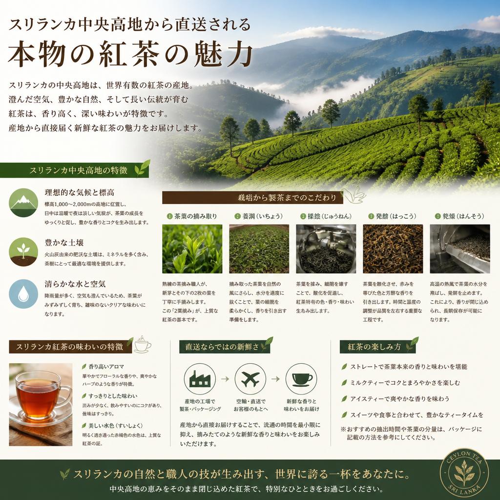スリランカの魅力と茶葉の特徴