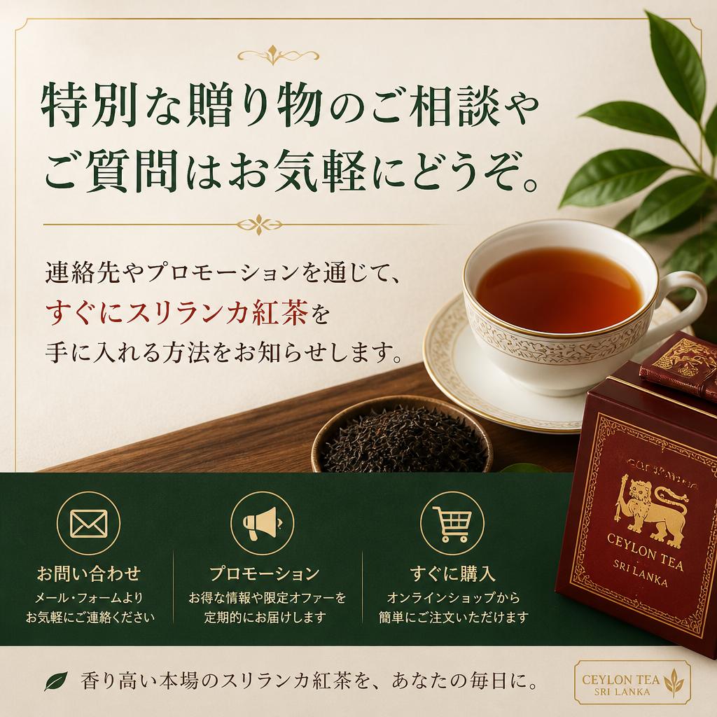 今すぐお問い合わせを